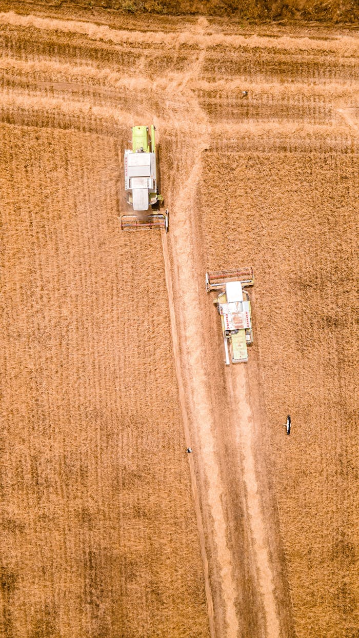 Aerial shot capturing two combine harvesters in a wheat field in Çeltikçi, Burdur, Türkiye.