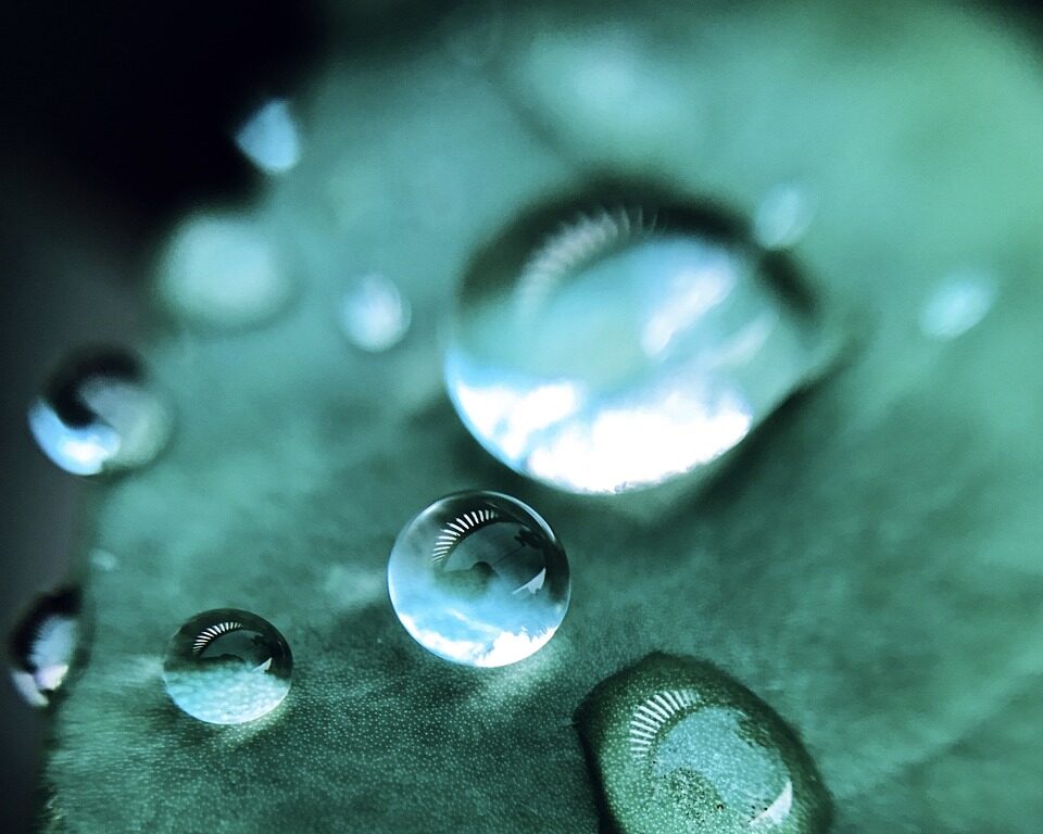 rain, drops, nature, droplet